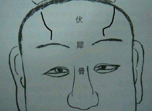 伏羲骨是啥样？惊曝伏羲骨真容，原来是这样的