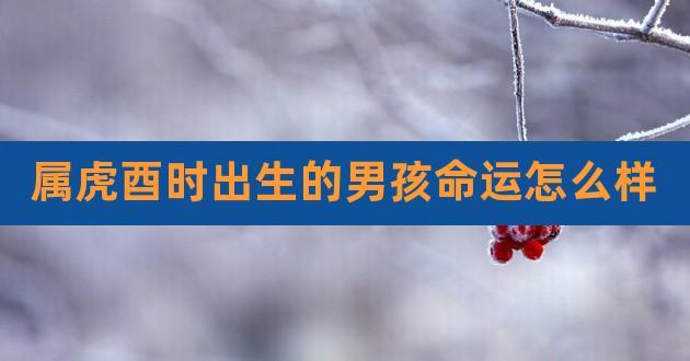酉时出生的男孩命运（未来可能的命运解读）