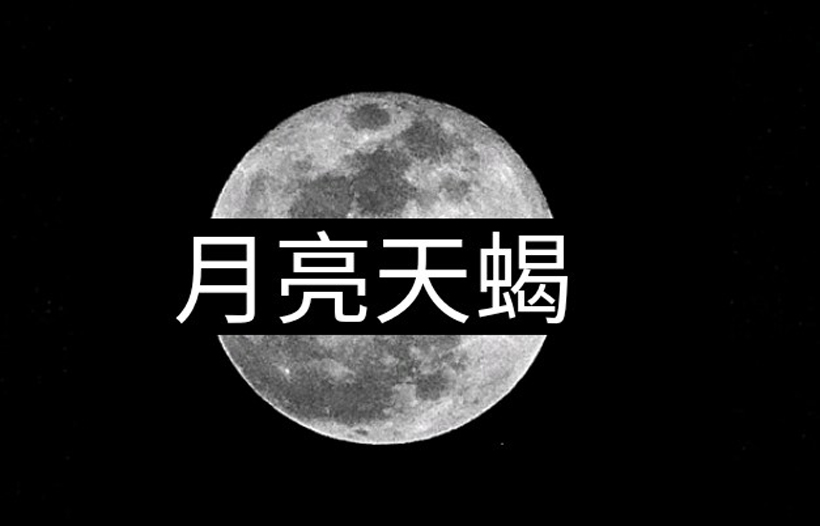 为什么月亮天蝎是极品（月亮天蝎女被称为极品的原因）