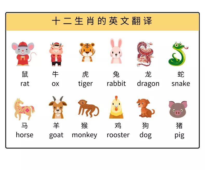 美国的十二生肖都是什么（介绍美国文化中的十二生肖概念）