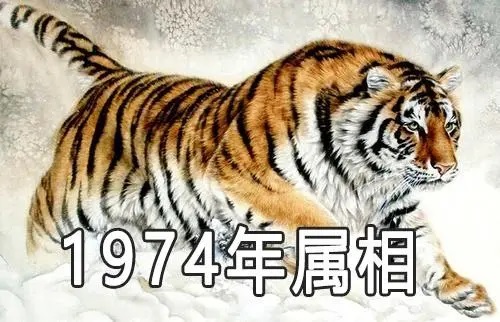 1974年五行属什么命（求解1974年出生的人的五行命理属性）