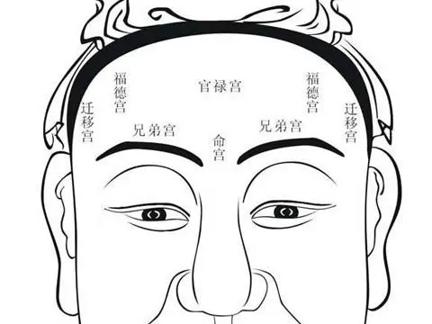 男人额头有竖纹吉凶（剖析男性额头竖纹的吉凶寓意）