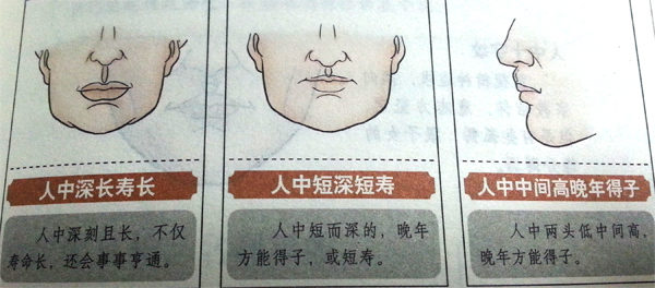 人中深浅代表什么（解释人中深浅所代表的性格和命运意义）