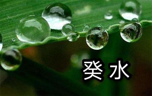 癸水哪个时辰出生最好？揭晓癸水最佳时辰