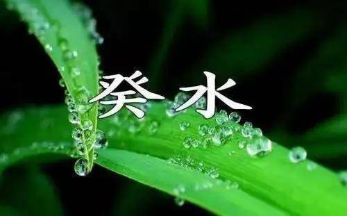 癸水哪个月最强？探索癸水最强月份
