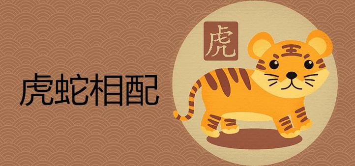 蛇与虎的婚姻是否相配？两个属相在一起合不合适