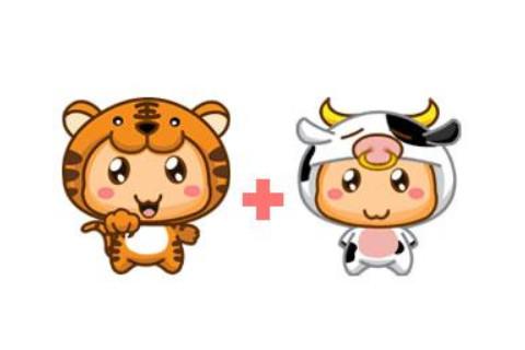 属虎和牛最忌生什么孩子？揭秘属虎和牛相克生肖发的孩子