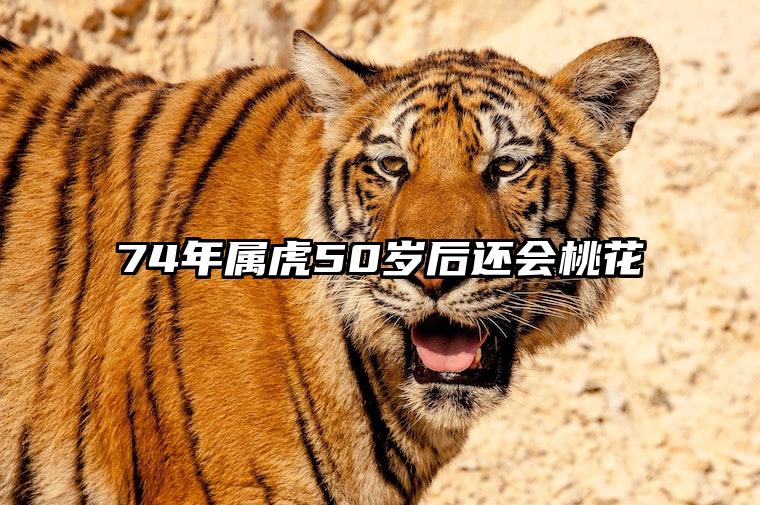 74年属虎50岁后还会离婚吗？50岁后还有离婚风险吗