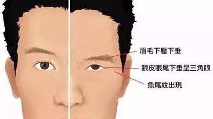 三角眼的男人性格特点（剖析具有三角眼特征男性的性格特点）