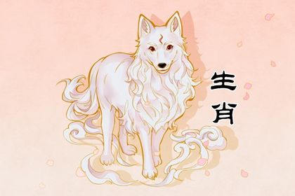 属狗人的二次婚姻情况，探索幸福再续的机会