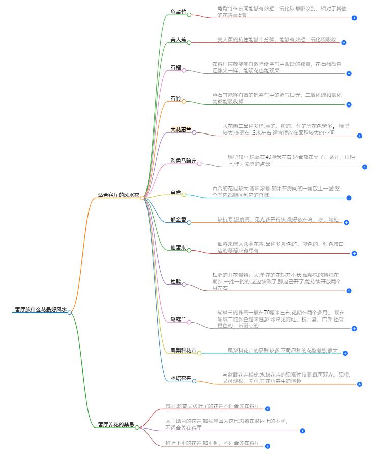 客厅放什么花最好？哪种植物最旺财