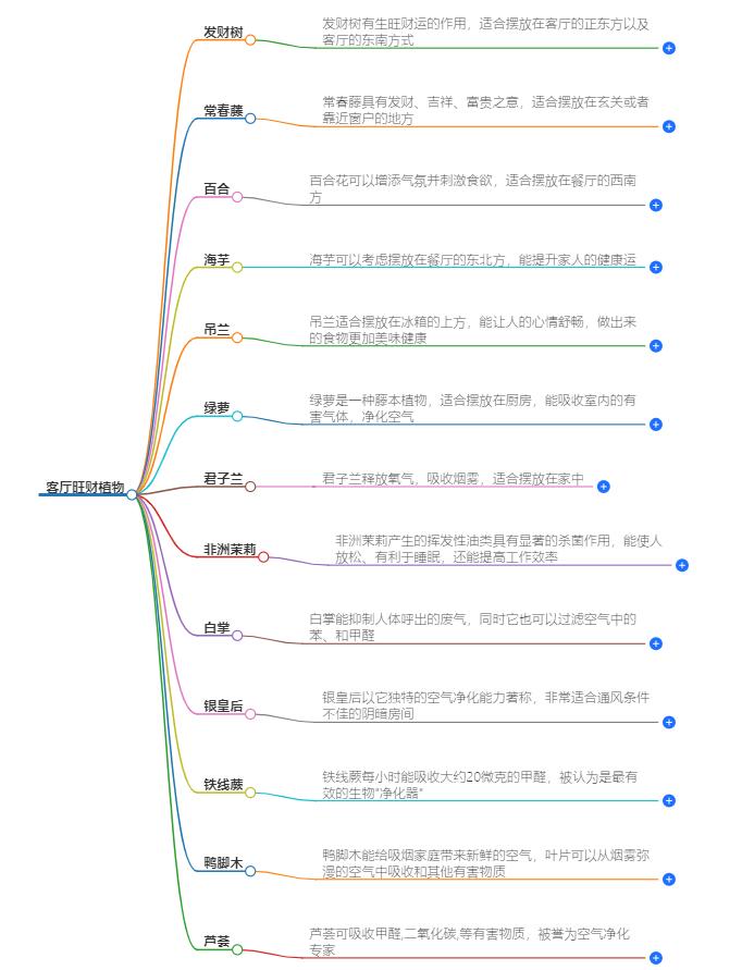 客厅放什么植物旺财而且全家身体好？客厅植物布置大揭秘