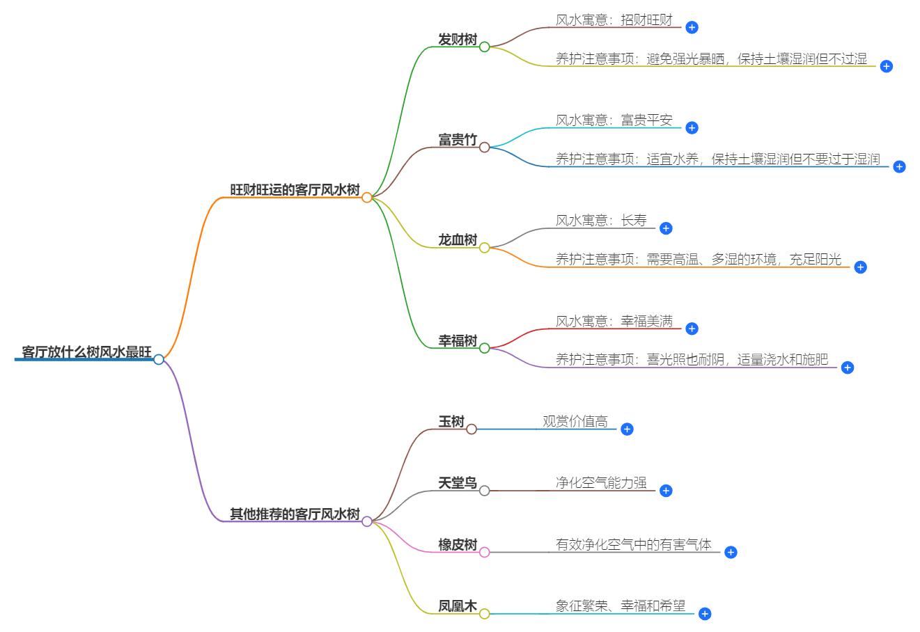 客厅放什么树风水最旺？绿植风水指导，家运亨通秘诀