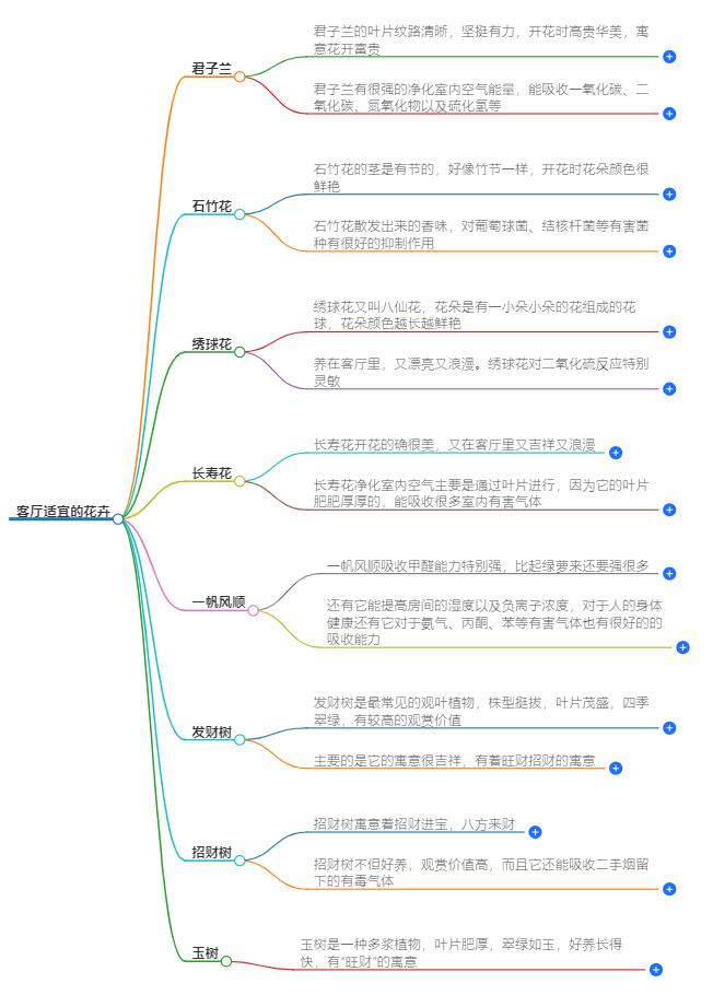 客厅放什么花最好最合适？精选花卉，增添生活色彩