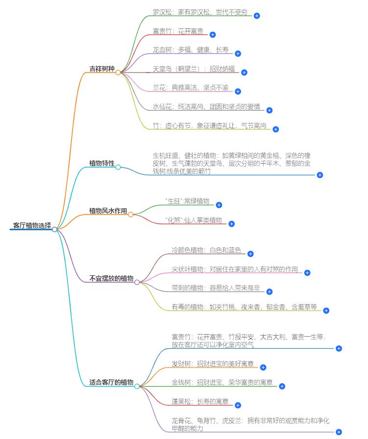 客厅放什么植物好？好看又旺财的植物推荐