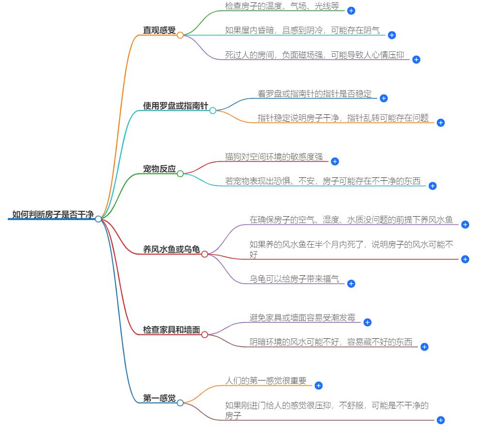 如何判断房子是否干净？风水与卫生的双重考量