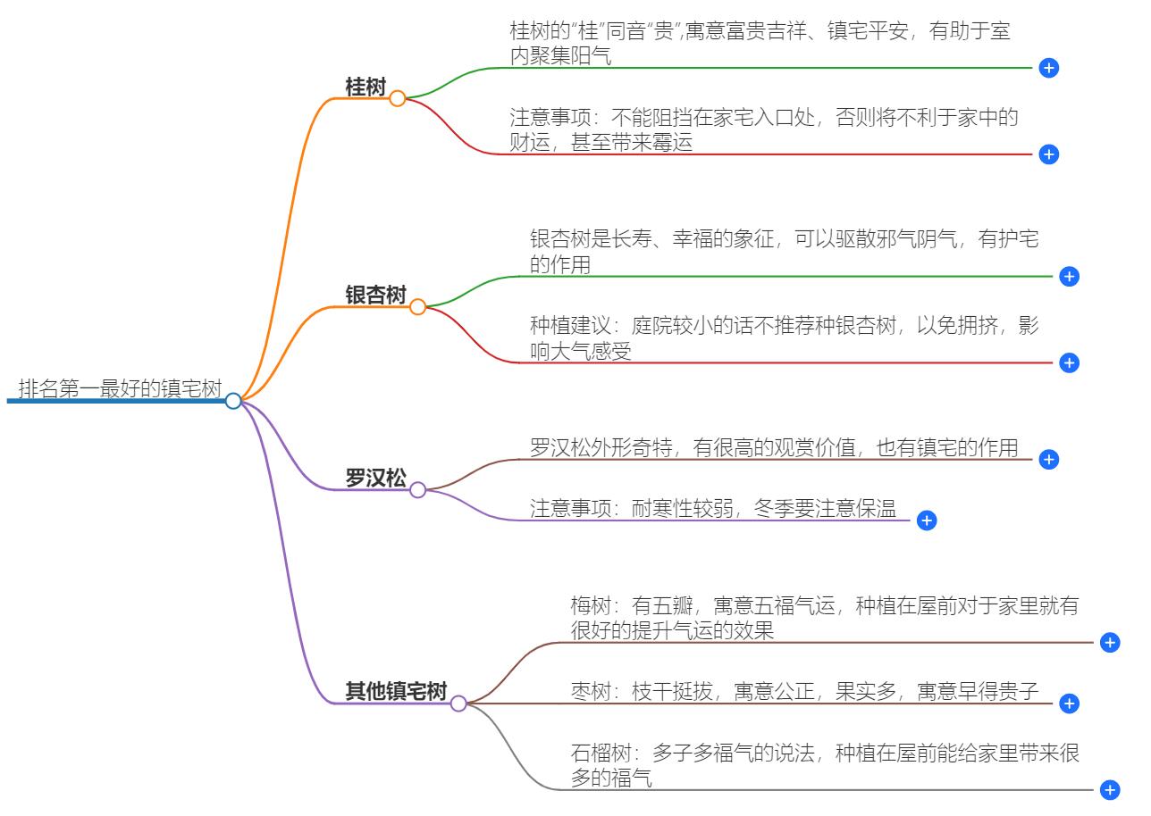排名第一最好的镇宅树是什么树？风水树种排行榜揭晓