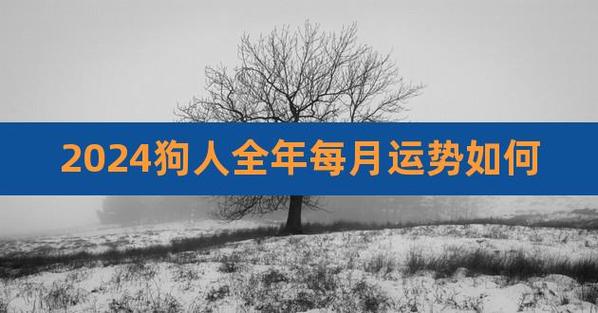 属狗人2024年很惨，看看哪些地方迎来了变化