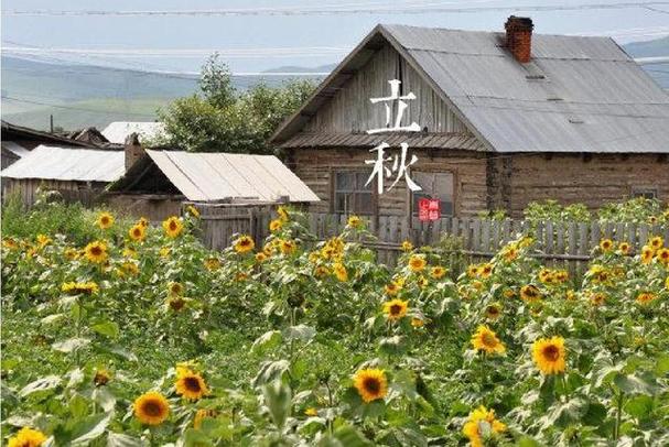 8月份是属于什么季节（8月份的季节特点与魅力）