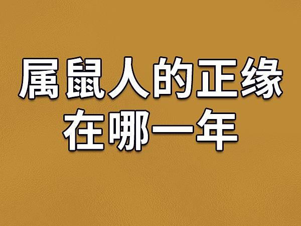 九六年鼠何时遇正缘（九六年鼠遇正缘时机分析）
