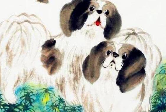 属狗的二次婚姻厉害，会表现的非常出色和幸福