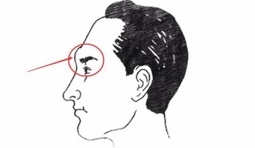 眉骨突出必大贵（眉骨突出的面相特点）