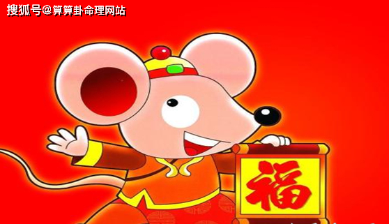 1996年属鼠是什么命（1996年属鼠命运特点解析）