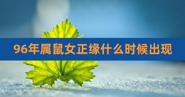 2023属鼠正缘长相（外貌特点描述）