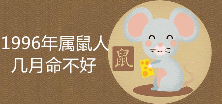 96年属鼠男孩一生运势（96年属鼠男孩的终生运势预测）