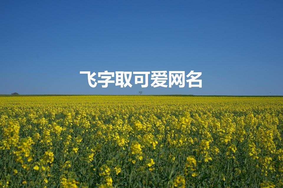飞字取可爱网名，为你创造甜蜜与俏皮的在线形象