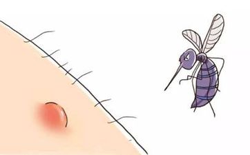 脾气大？福气大