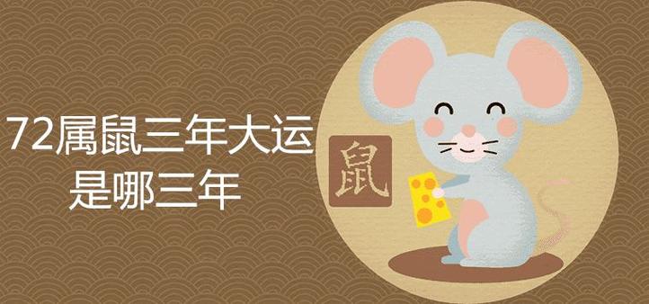 属鼠2024年有大喜缠身（2024年属鼠人喜事连连）