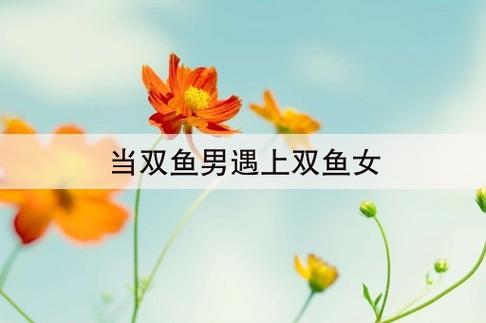 当双鱼男遇到双鱼女会怎样？会有怎样的火花碰撞