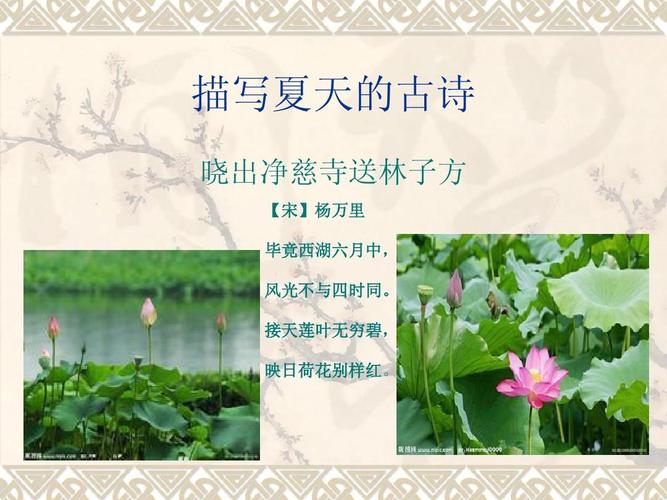 夏季的诗句古诗（关于夏季的诗句古诗大全）