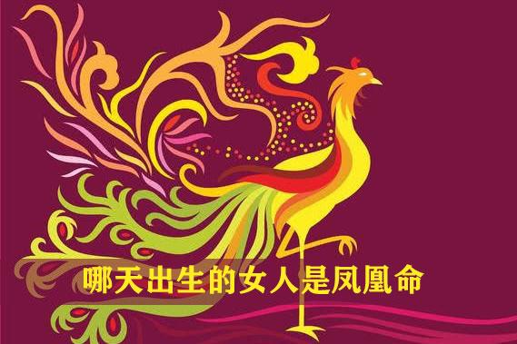 凤凰命的女人百年难遇吗（什么是凤凰命的女人）