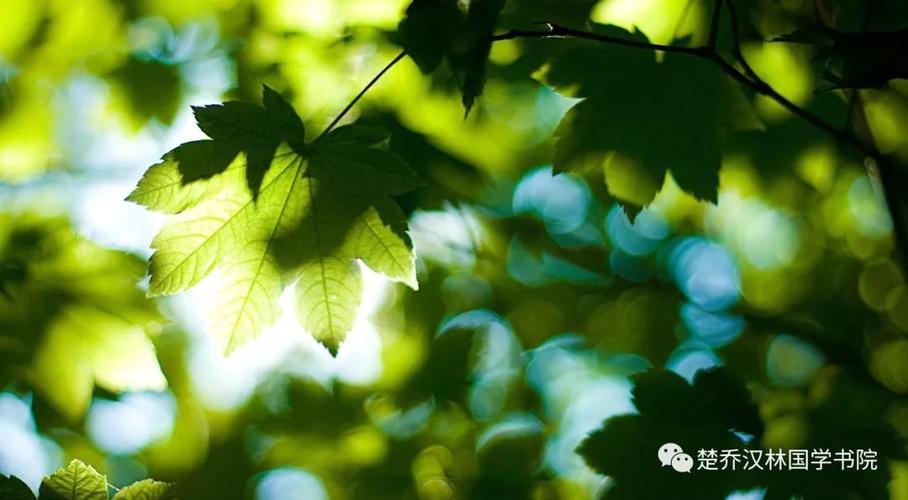 夏天几个阶段的雅称（立夏、芒种、夏至、处暑解析）