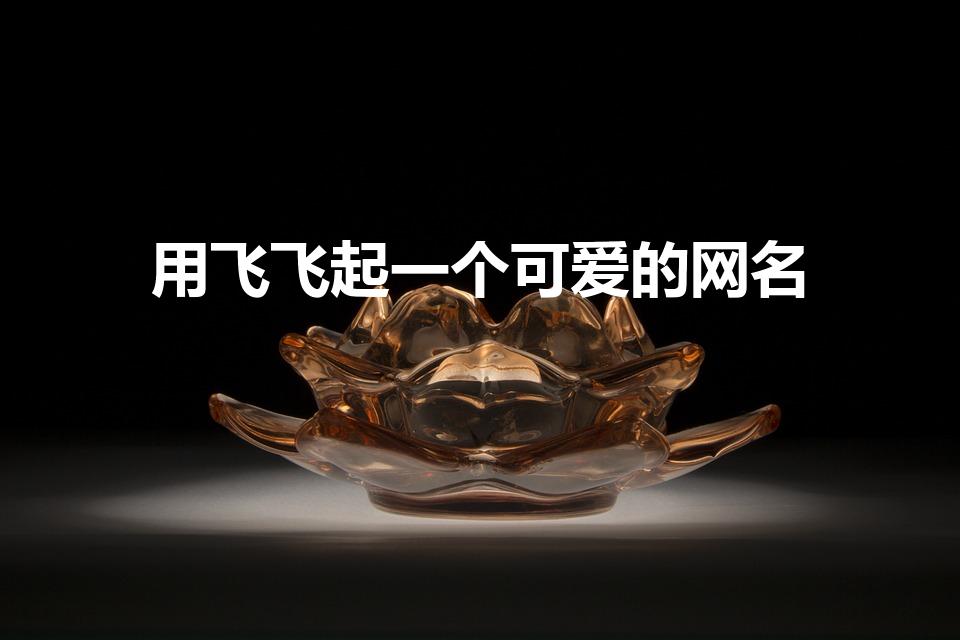用飞飞起一个可爱的网名，瞬间增加萌点指数