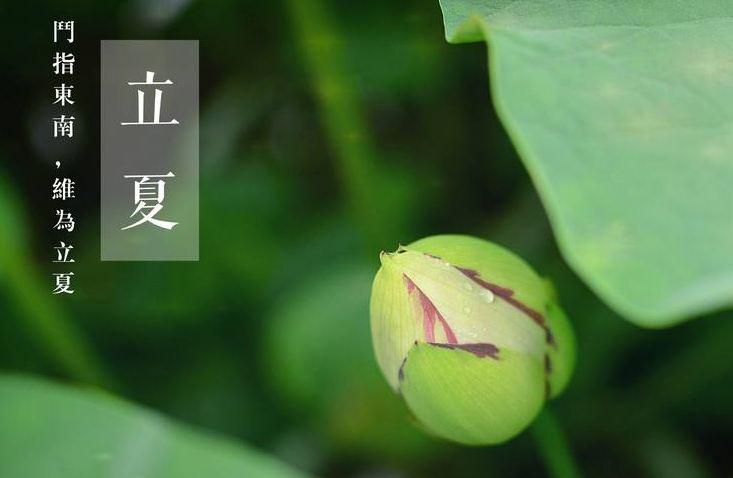 夏季的第一个节气是啥（夏季第1个节气是什么时候）