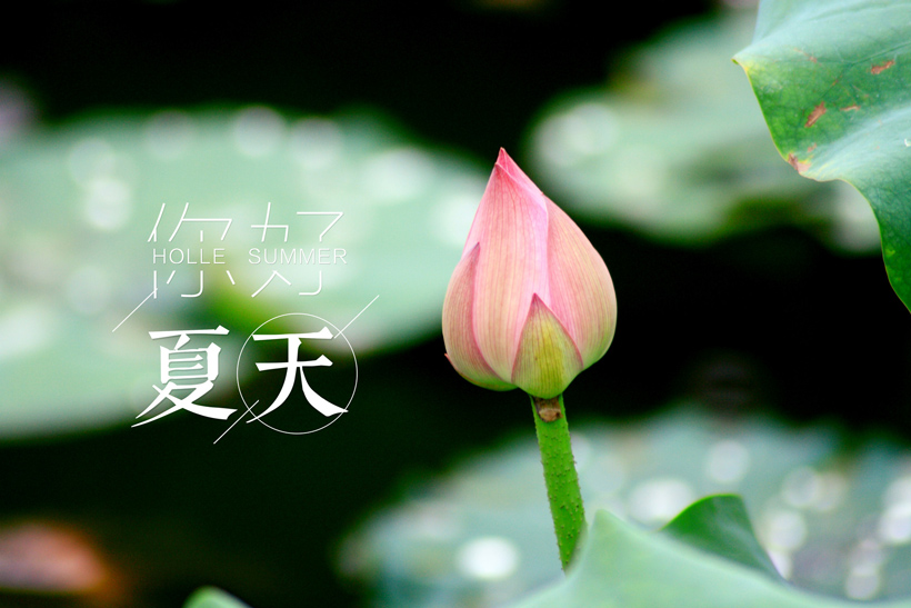 夏季是哪三个月（分别叫什么）